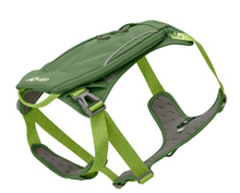 Load image into Gallery viewer, Kurgo Cascade Dog Harness Green
