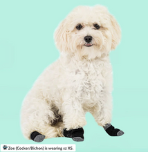Load image into Gallery viewer, Walkee Paws - Liner Socks (4pk)
