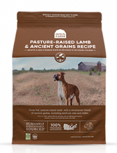 Charger l&#39;image dans la galerie, Open Farm Dry Dog Food with Ancient Grains
