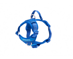 RC Pets - Momentum Harness/Harnais