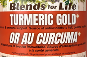 Blends for Life™ Turmeric Gold+/Or au Curcuma+