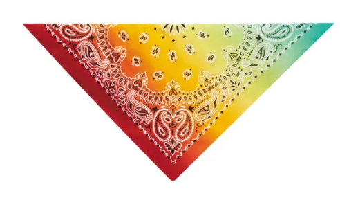 Aria® - Paisley Bandanas/Bandanas Cachemire