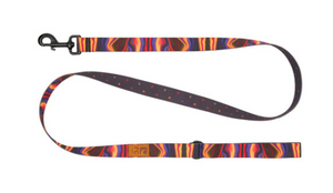 RCPets - Eco Leash/Laisse Eco