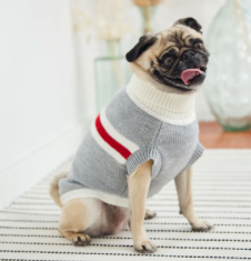 GFPet® - Chandails Trekking Sweater