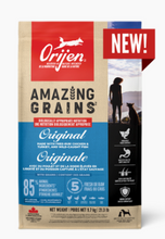 Load image into Gallery viewer, Orijen™ - Amazing Grains™ - Dry Dog Food/Croquettes pour chiens

