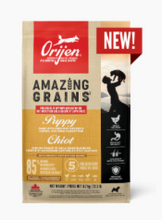Load image into Gallery viewer, Orijen™ - Amazing Grains™ - Dry Dog Food/Croquettes pour chiens
