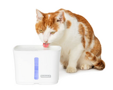 Load image into Gallery viewer, PetSafe® Viva™ - Fountain for Pets/Fontaine pour animaux de compagnie (1.8L)
