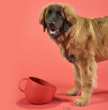 Charger l&#39;image dans la galerie, United Pets® - CUP Bowl/Bol CUP
