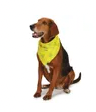 Load image into Gallery viewer, Aria® - "Bark It's My Birthday" Bandana
