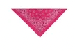 Charger l'image dans la galerie, Top Performance® - Paisley Bandanas/Bandanas Cachemire
