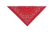 Charger l'image dans la galerie, Top Performance® - Paisley Bandanas/Bandanas Cachemire
