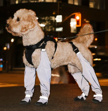 Load image into Gallery viewer, Canada Pooch® Suspender Boots/Bottes à bretelles
