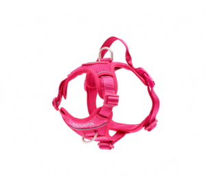 RC Pets - Momentum Harness/Harnais