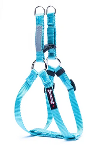 Smoochy Poochy - 5/8" Step In Harness/Harnais à enfiler