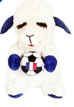 Load image into Gallery viewer, Multipet™ Wrinkleez Lamb Chop® FIFA WORLD CUP 2026
