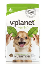 Load image into Gallery viewer, V Planet
