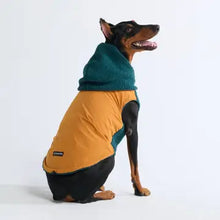 Charger l&#39;image dans la galerie, Spark Paws® Reversible Jacket - Green and Orange/Veste Réversible - Vert et Orange
