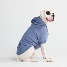 Charger l&#39;image dans la galerie, Spark Paws - Essential Dog Hoodie/Sweat à capuche Essentiel pour chien
