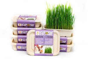 Fog Farms Grow@Home - Grass Medley Kit (Seeds with Soil)