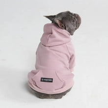 Charger l&#39;image dans la galerie, Spark Paws - Essential Dog Hoodie/Sweat à capuche Essentiel pour chien
