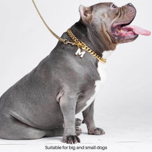 Load image into Gallery viewer, Cuban Link - Chain Dog Collar - Gold/Collier pour chien à chaîne - Or

