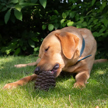 Load image into Gallery viewer, Ancol® - Örva Tuff Stuff Pine Cone/Pomme de pin Örva Tuff Stuff
