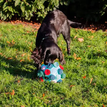 Load image into Gallery viewer, Ancol® - Örva Snuffle Ball
