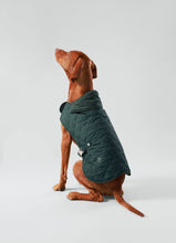 Load image into Gallery viewer, Hackett x Hugo &amp; Hudson - Forest Green Quilted Dog Jacket/Veste matelassée pour chien vert forêt
