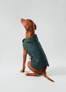 Hackett x Hugo & Hudson - Forest Green Quilted Dog Jacket/Veste matelassée pour chien vert forêt