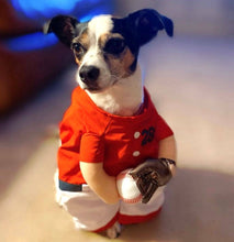 Load image into Gallery viewer, Show &amp; Tail™ - The Home Ruff/Le Home Ruff
