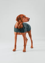 Load image into Gallery viewer, Hackett x Hugo &amp; Hudson - Forest Green Quilted Dog Jacket/Veste matelassée pour chien vert forêt
