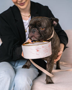 Blush Pink Marble Dog Bowl with Gold Accent