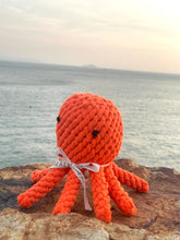 Charger l&#39;image dans la galerie, Knotty Pawz - Ocean Pals Rope Toys/Jouets en corde Ocean Pals
