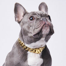 Load image into Gallery viewer, Cuban Link - Chain Dog Collar - Gold/Collier pour chien à chaîne - Or

