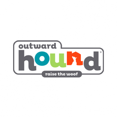 Outward Hound® Nina Ottosson® Puzzle Game Rumble