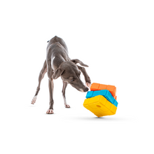 Load image into Gallery viewer, GURU® Dog-X-Cube
