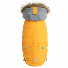 Load image into Gallery viewer, GF PET - Winter Sailor Parka - Yellow
