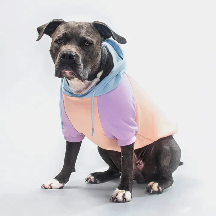 Spark Paws - Cotton Candy Dog Hoodie/Sweat à capuche barbe à papa pour chien