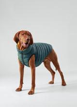 Load image into Gallery viewer, Hackett x Hugo Hudson Dog Puffer Jacket, Forest Green &amp; Gold
