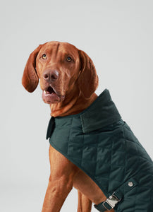 Hackett x Hugo & Hudson - Forest Green Quilted Dog Jacket/Veste matelassée pour chien vert forêt