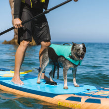 Load image into Gallery viewer, Body Glove - Neoprene Pet Life Jacket/Gilet de sauvetage en néoprène pour animaux de compagnie

