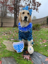 Load image into Gallery viewer, Midlee - Hanukkah Menorah/Menorah de Hanoukka

