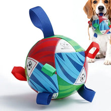 Charger l'image dans la galerie, Nocciola Magic Pup - Soccer Ball with Straps/Ballon de football avec sangles
