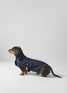 Hackett x Hugo Hudson - Navy Quilted Dog Jacket/Blouson matelassée bleu marine pour chien