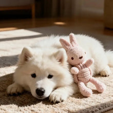 Load image into Gallery viewer, Monli - Squeaky Rope Buddies/Copains de corde qui couinent
