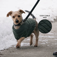 Charger l&#39;image dans la galerie, Shedrow K9 Brentwood Cable Knit Dog Sweater
