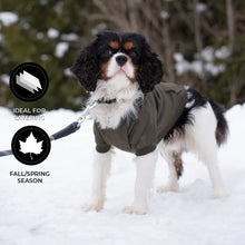 Load image into Gallery viewer, Shedrow K9 Brentwood Dog Hoodie
