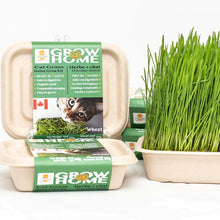 Charger l&#39;image dans la galerie, Fog Farms Grow@Home - Wheat Grass Kit (Seeds with Soil)
