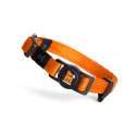 Load image into Gallery viewer, memopet® ID - Cat Collar+/Collier pour chat+
