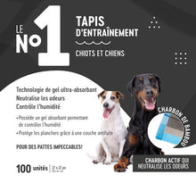 Charger l'image dans la galerie, Le No.1 - Charcoal Training Pads/Tapis d’entraînement charbon
